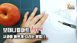 (스물다섯번째)[보태니컬아트 스케치] 그림 강좌 | 사과를 예쁘게 그리는 방법!! How to draw an apple beautifully.