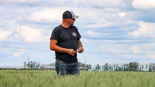 Manitoban Wheat Farmer has a passion for sharing stories of farm life