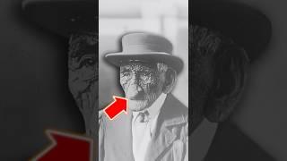 AI LÀ NGƯỜI CAO TUỔI NHẤT LỊCH SỬ |  (Bạn Biết Không) #facts #amanzingfacts #thaukinhtrithuc