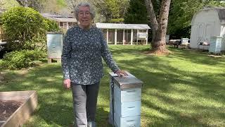 Beekeeping Tip: Having a Resource Nuc in your Apiary