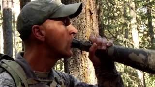 Corey Jacobsen's Elk Calling Basics