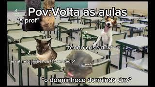 Pov dos gatinhos! eu demorei pra fazer espero q gostem