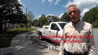 Top 5 Reasons Your Pest Control Company Isn't Getting The Job Done-Savannah Termite and Pest Control