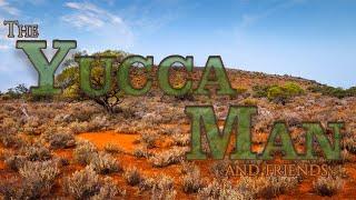 THE YUCCA MAN AND MORE…