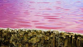 Salt Fields of Cabo Rojo, Puerto Rico