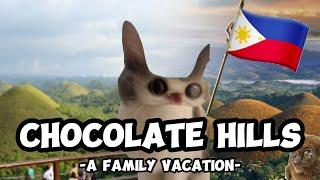 CAT MEMES:  FAMILY VACATION BOHOL COMPILATION