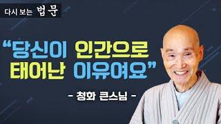 "여러분들은 백천만겁이 지나도 만나기 어려운 부처님 법을 배우고 있습니다." [다시 보는 법문 3부-청화스님]