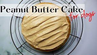 Easy Peanut Butter Dog Cake Recipe!  | WHISKOPETS KITCHEN  | HOMEMADE DOG FOOD & TREATS |