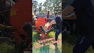 Заготавливаем дрова на ЗИМУ #работавфинляндии #ферма #ферма #сельскоехозяйство
