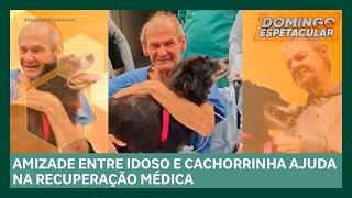 Idoso tem alta na UTI após receber visita de cachorrinha de estimação