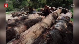 EXCLUSIVE: Ulu Muda logging activities persist, future of lake and rivers uncertain