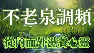 不老泉調頻 重新恢復靈氣174Hz 每天聽 自然變美 讓身體舒展開來 沐浴在清澈的泉水中 開啟年輕變美的秘密 皮膚水嫩光滑細緻 年輕緊緻音頻 吸引力法則 能量音頻 越聽越美