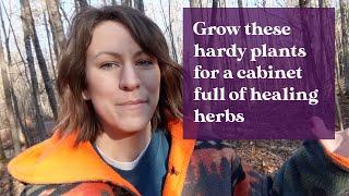 6 Plants to Grow in Your First Medicinal Herb Garden