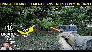 Unreal Engine 5.2 Megascans Trees Common Hazel