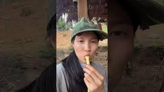 [Cô Gái Dao Đỏ]. Lên rừng hái măng, măng rất ngon nhé mọi người ơi