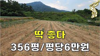 그림 같은 풍경의 땅356평 평당6만원~[땅지통]