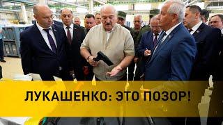 ЛУКАШЕНКО И ТОПОР: как поручение Президента ВЗБОДРИЛО белорусские предприятия