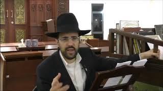 הרב מאיר אליהו שליט"א - האם בשר שנופל מהשמים מותר באכילה. מומלץ עבורך.