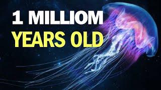 Find Out 15 Longest Living Animals on Earth | DPFunFacts