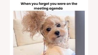 When you forgot you were on the meeting agenda