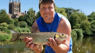 Chasing & Learning To Catch Hard Fighting Barbel of the River Wye