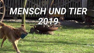 Mensch und Tier 2019