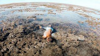 Finding Amazing Sea Creatures In Tide Pools