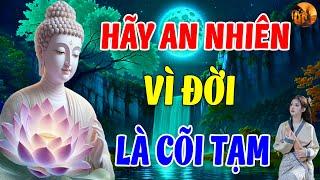 Hãy An Nhiên Vì Đời Là Cõi Tạm - Cớ Làm Sao Phải Tự Khổ Chính Mình - Chuông Chùa Tịnh Tâm