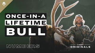 An Epic Hunt for Big Elk - NUMBERS