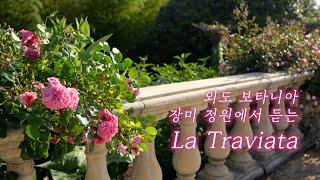 외도 보타니아 장미 정원에서 듣는 라 트라비아타 La Traviata