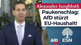 AfD lässt EU-Haushalt scheitern! – Alexander Jungbluth (AfD)