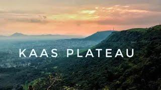 Ride On The Kaas plateau in summer (Kaas Pathar), Satara, MH, India