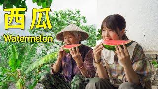 Watermelon paired with spicy hot‑pot chicken—this summer feels absolutely amazing!【叫我阿霞Channel】