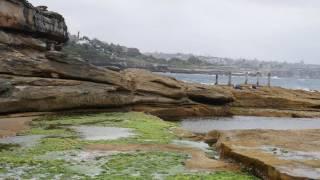 Ivo Rowe Pool - Coogee's Secret Adventure