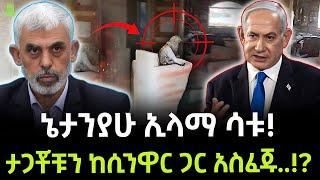 አለምን ያስገረመው የሞሳድና የሲንዋር ፍልሚያ ተረክ ሚዛን Salon Terek