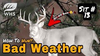 Hunting Deer During Bad Weather | Sit #13