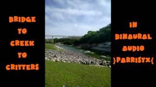(AUDIO ONLY) Bridge to Creek to Critters | ParrisTX Binaural