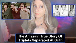 Three Identical Strangers | A Dark Case Of Separation At Birth | Whispered Mic Brush