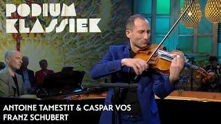 Antoine Tamestit & Caspar Vos - Franz Schubert - Nacht und Träume | Podium Klassiek