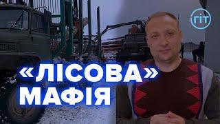 Як лісівники наживають мільйонні статки, формуючи чорний ринок деревини України | Даніїл Маландій