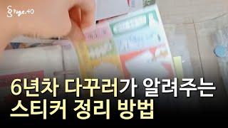 스티커가 너무 많아서 뭐가 어디에 있는지 모르겠다면 | 6년차 다꾸러의 다꾸템 정리 방법 추천, 스티커 선발대, 바인더 몰아보기