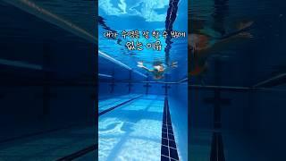 내가 수영을 잘 할 수 밖에 없는 이유 (연포스) #수영 #수영선수 #swimming #swimmer