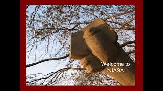 About NIASA
