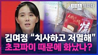 [시사쇼 정치다] 대북 전단에 또 '막말 폭탄'… 김여정 "대가를 치를 것" 위협