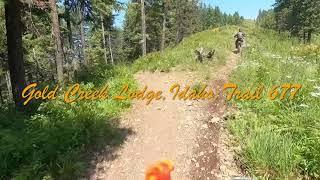 Gold Creek Lodge: Trail 677