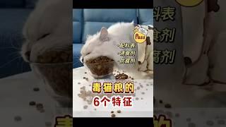 毒貓糧的一些特徵！