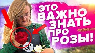 ТИПЫ РОСТА РОЗ. В ЧЕМ РАЗНИЦА? КАК правильно ОБРЕЗАТЬ?