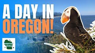 Birding in Oregon! Puffins, Warblers, Seabirds, and more!