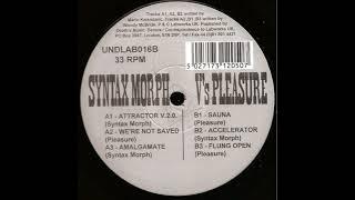 Syntax Morph V's Pleasure (9) ‎– Syntax Morph V's Pleasure  (1994)