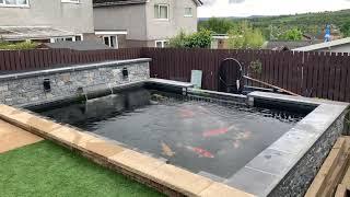 Koi pond in Scotland